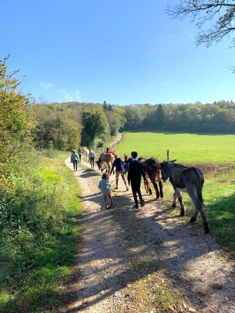 The group on its way with the donkeys, on a path lined with meadows
