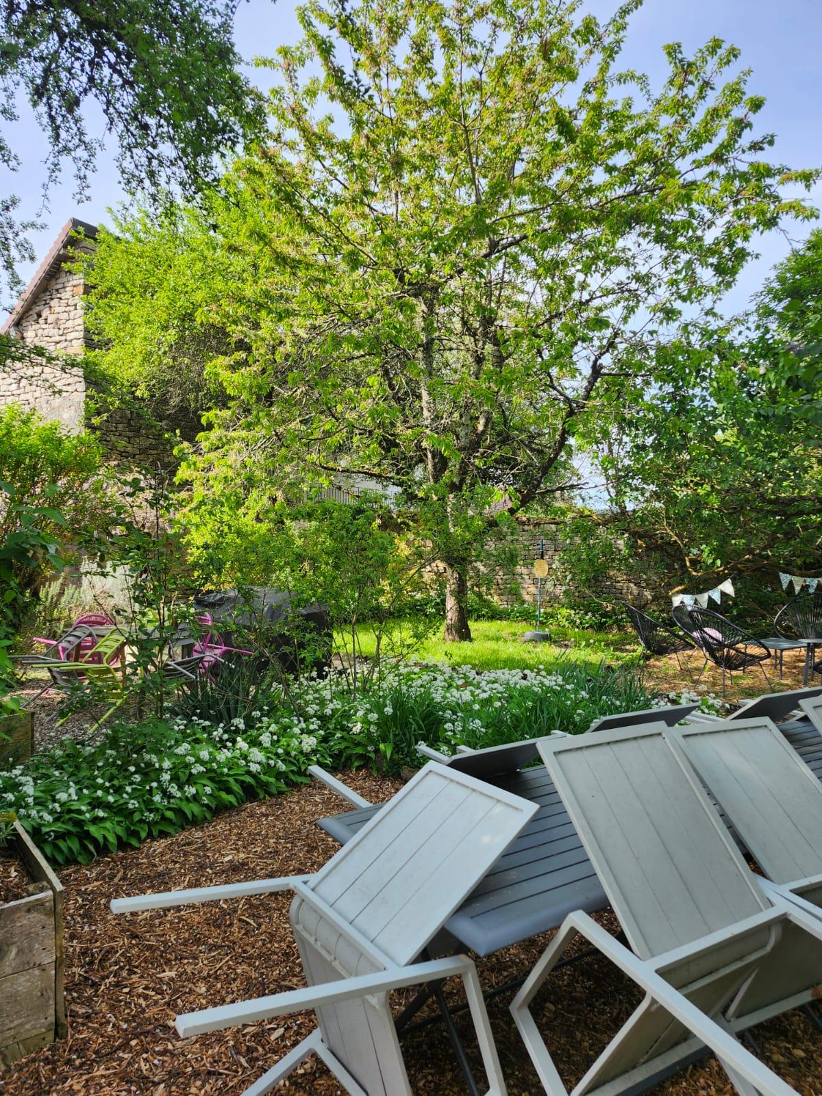A planted corner of the garden, in the shade of the big tree
