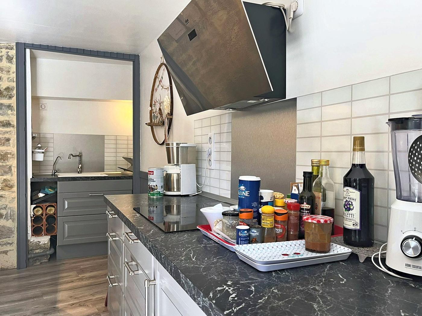 The kitchen worktop, its extractor hood and oven