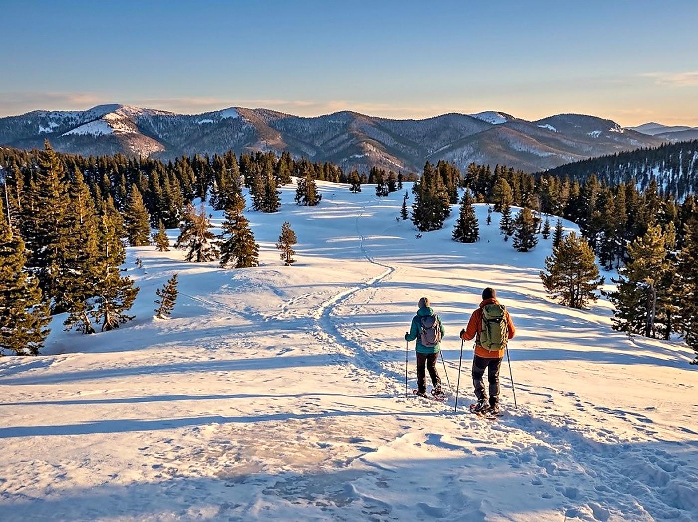 Two snowshoers crossing a snow-covered plateau, between the firs and the ridges