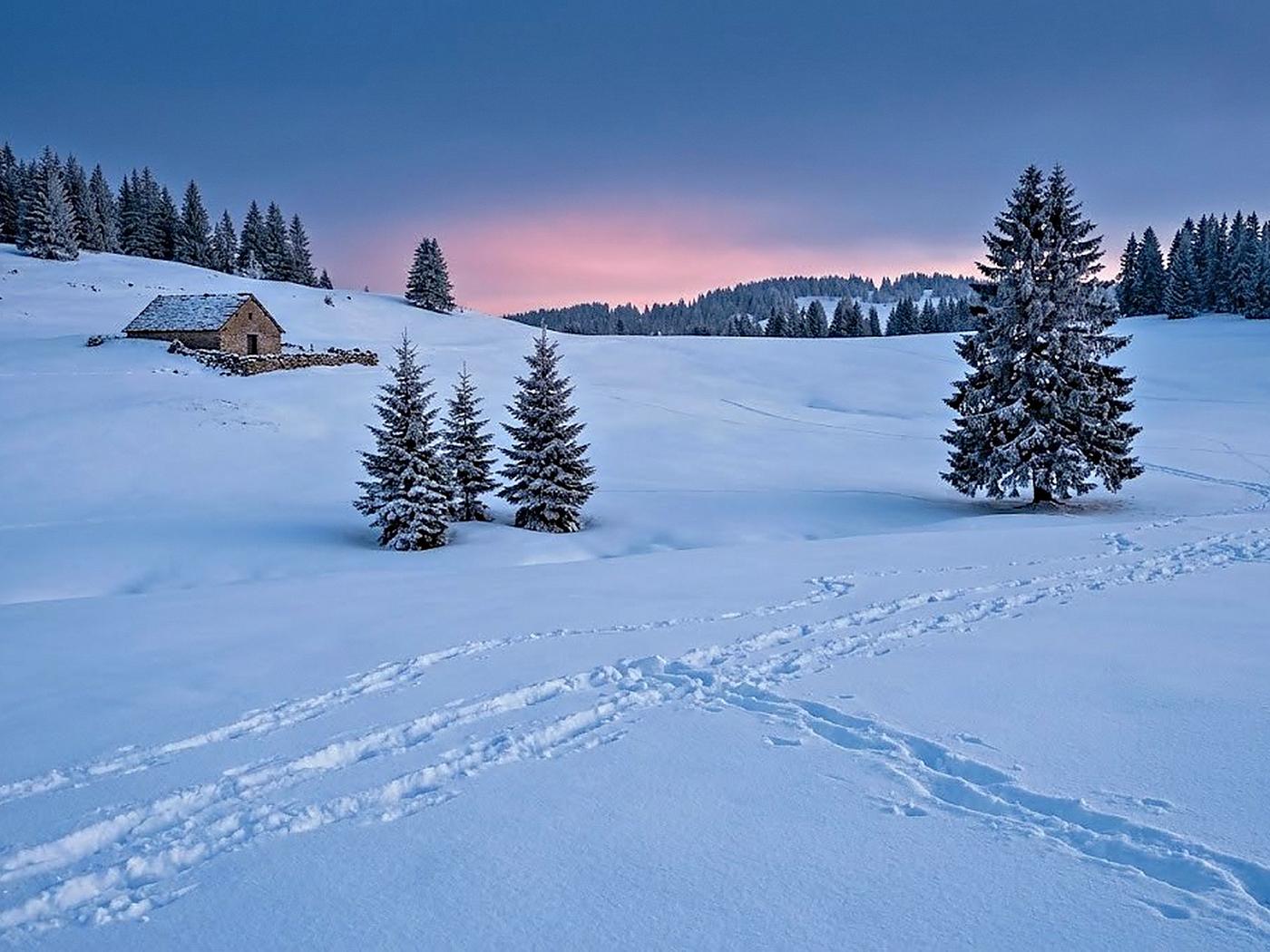 A Haut-Jura plateau under snow at dusk, with an isolated farm and fir trees