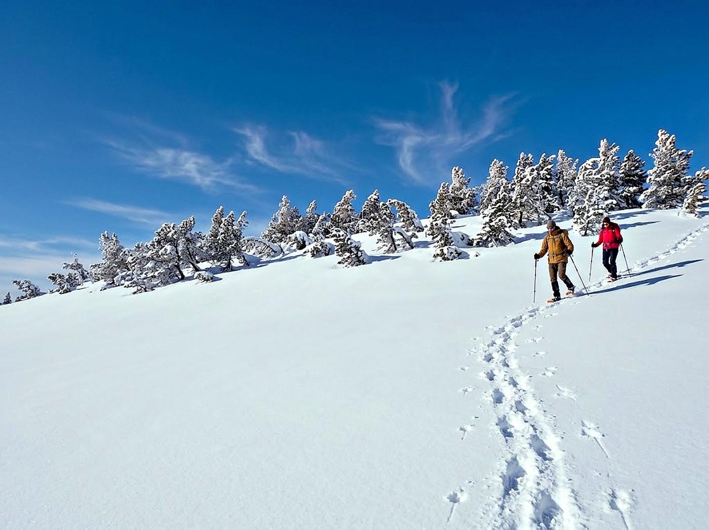 Two snowshoers on a snowy ridge, their tracks behind them